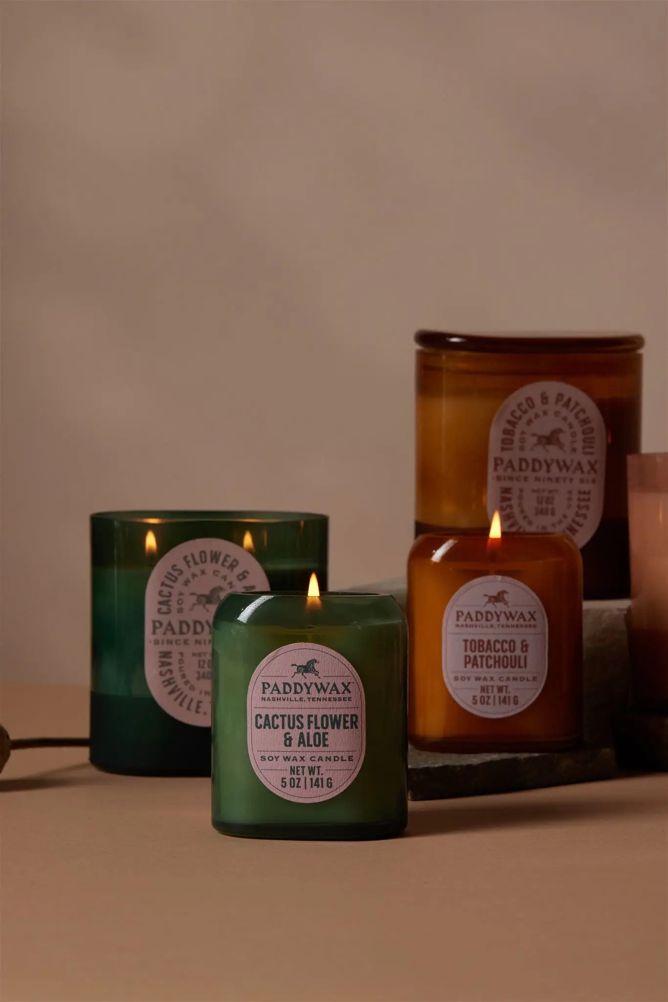 Cactus Flower + Aloe - Vista 12 oz Candle - Image 3