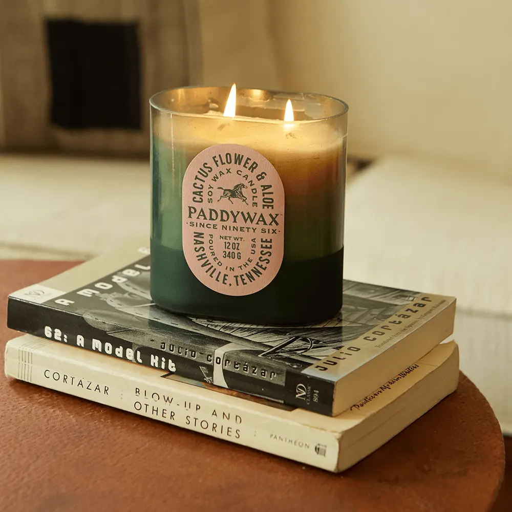 Cactus Flower + Aloe - Vista 12 oz Candle - Image 4