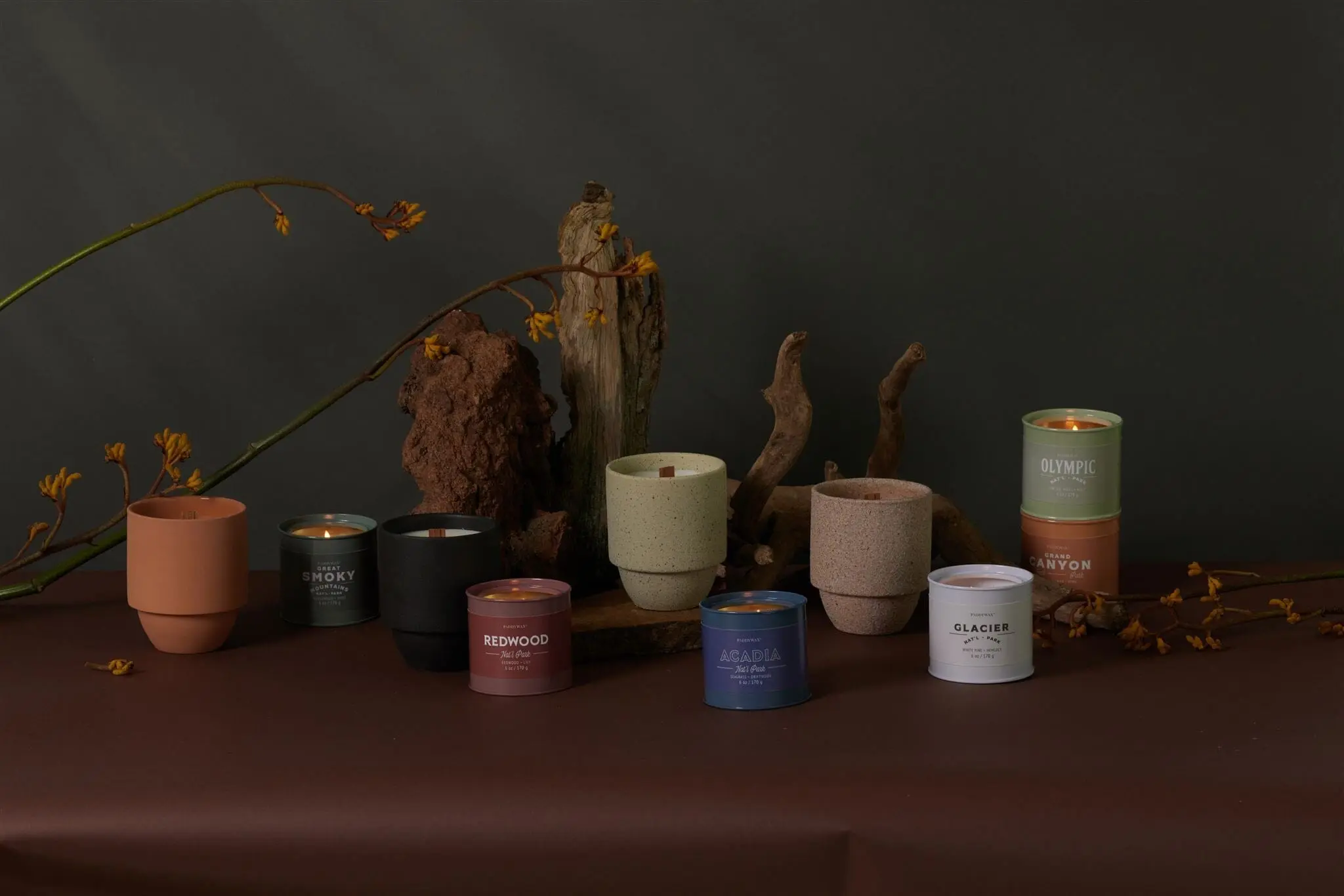Redwood - Parks 6 oz Tin Candle - Image 4