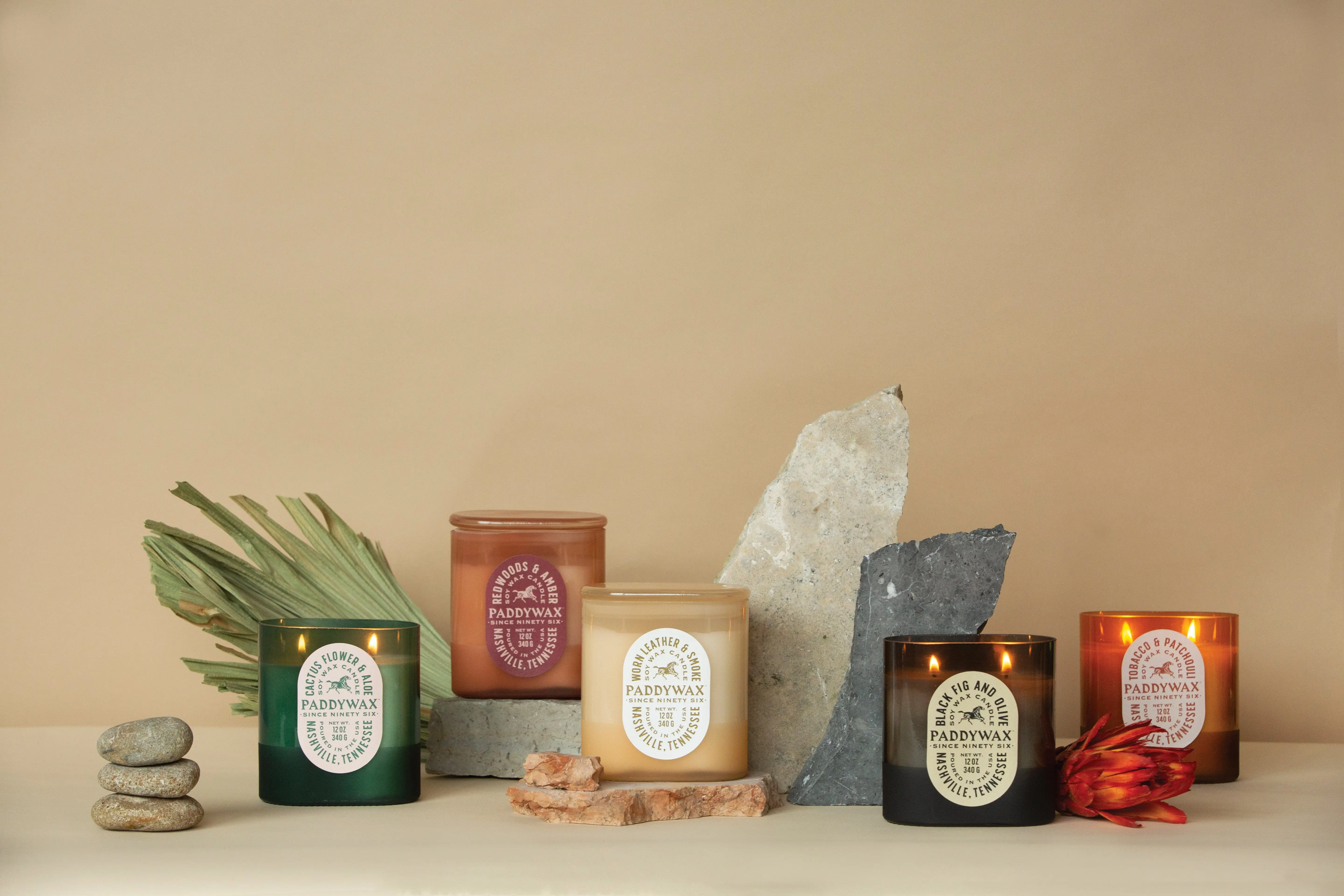 Black Fig + Olive - Vista 12 oz Candle - Image 2