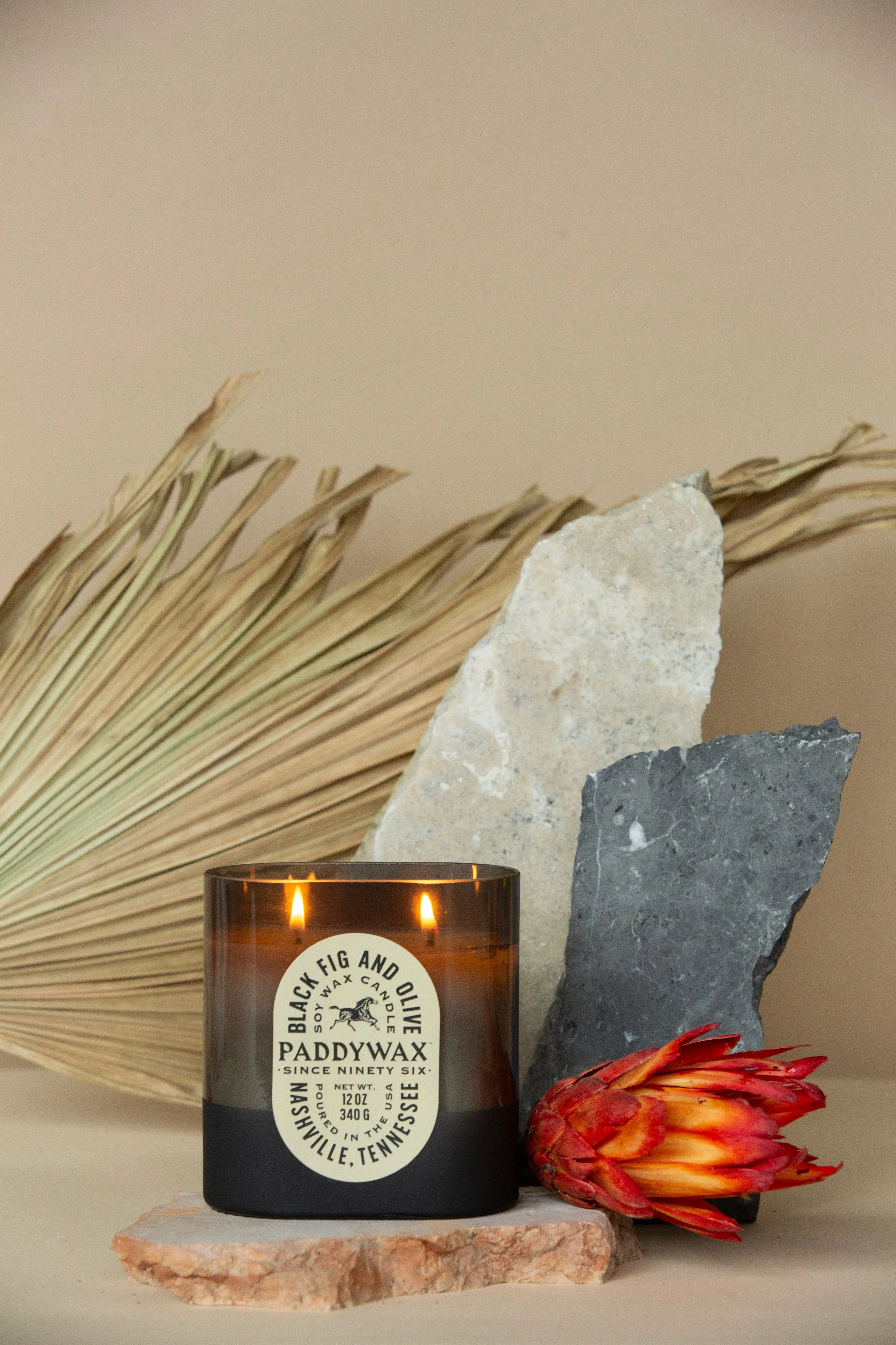 Black Fig + Olive - Vista 12 oz Candle - Image 3